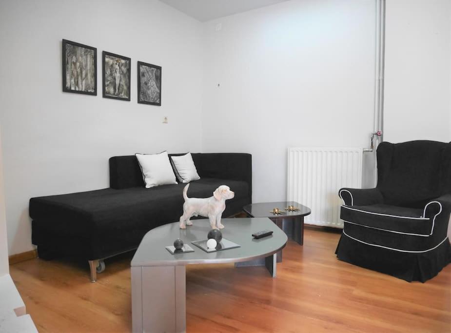 Cosy Apartment In The Heart Of City Centre Heraklion Exteriör bild